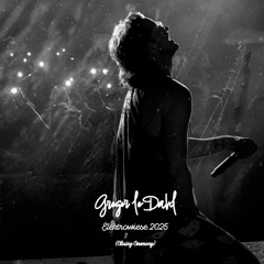 Gregor le Dahl - Elektrowiese 2025 (Closing Ceremony) (After Live Set Recording)