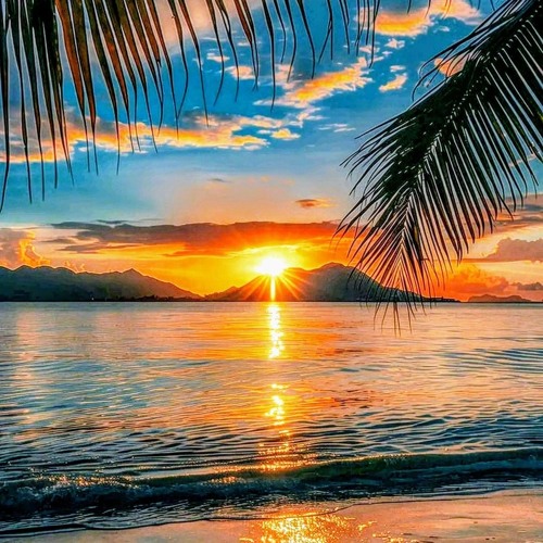 Sonic Session Vol 994