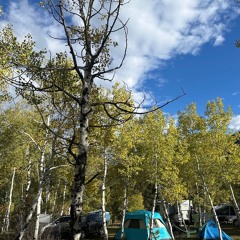 Fyrelight 2025: Daytime Filler Set