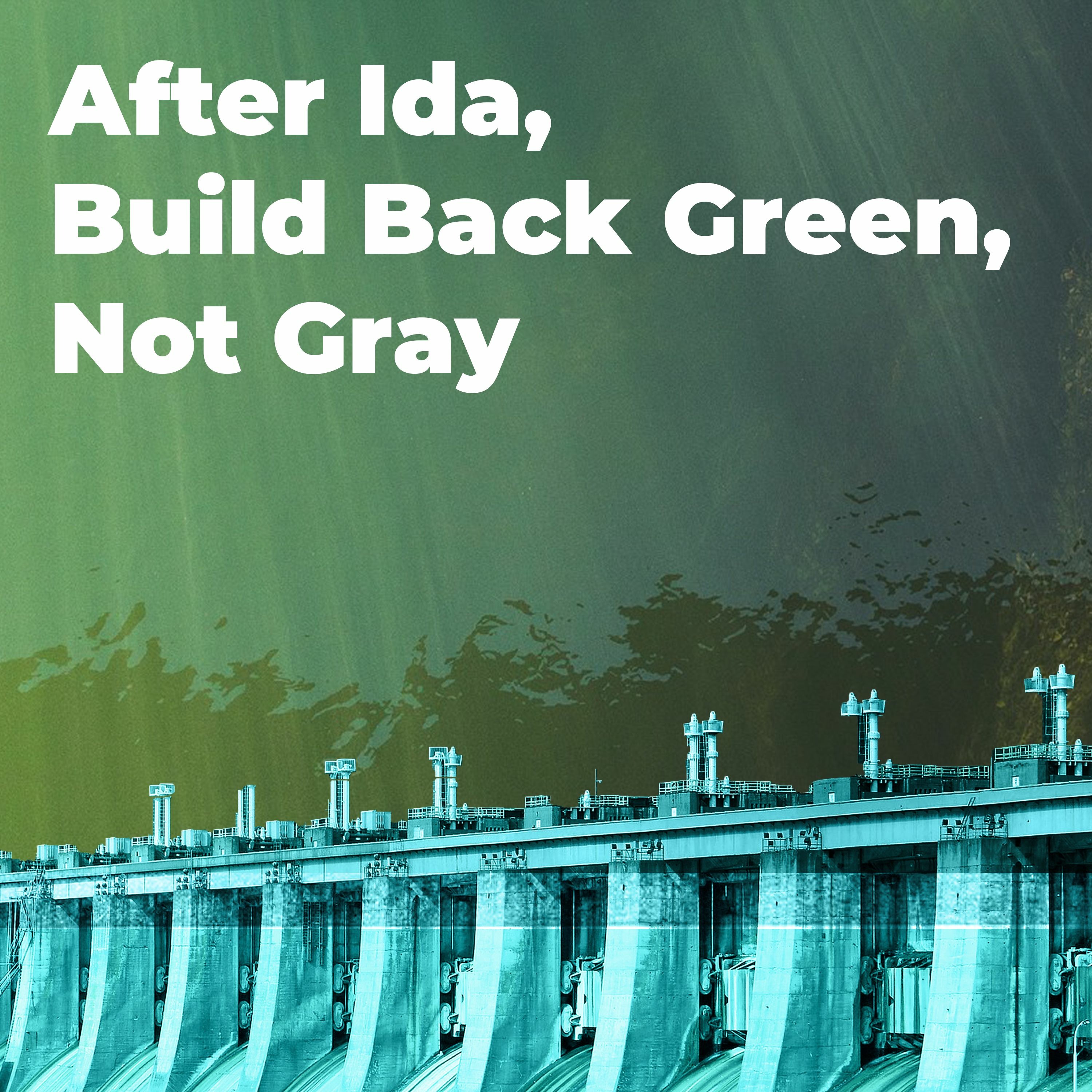 F-Word: Build Back Green, Not Gray