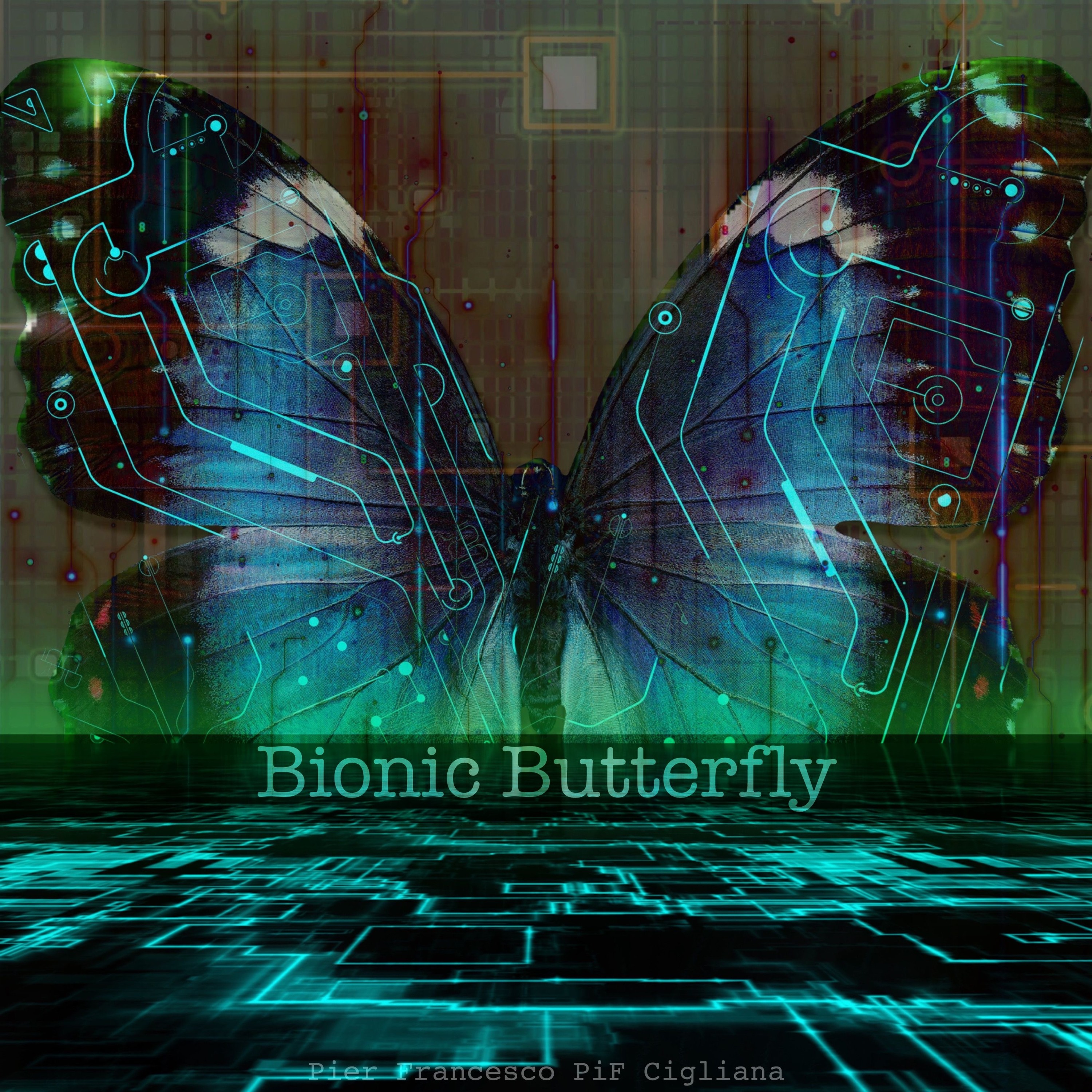 Bionic butterfly