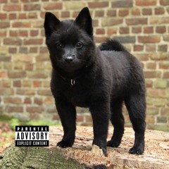 The Dog ate my pussy (Vagina) (I’m a cumslut)