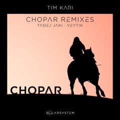 Tim Kari - Ruin (Veytik Remix)