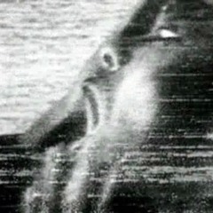 IV X $40 - Tokiu Daug Cia