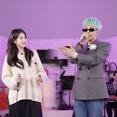 지디 팔레트 (2025 ver)