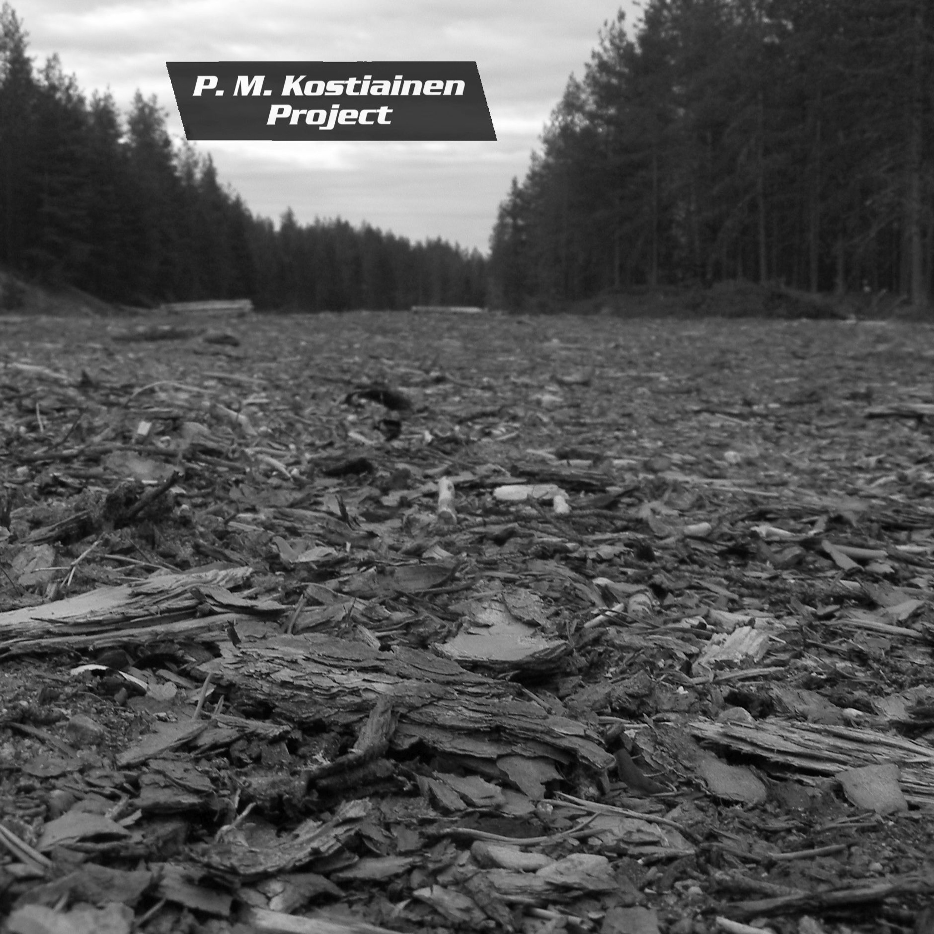 P. M. Kostiainen Project
