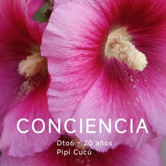 CONCIENCIA - Dto6 20 años - Pipí  Cucú.wav