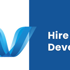 Why You Should Hire a .NET Developer from Drish Infotech Limited
