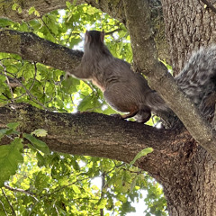 daydream (prod pond sounds and me)