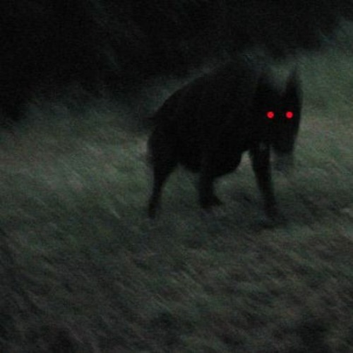 ODP X Ninety - Creeper (Clip)