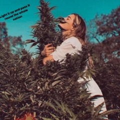 𝘬𝘶𝘵𝘵𝘪3 𝘣𝘰𝘪𝘪 𝘹 𝘸𝘪𝘯𝘦 ( 𝘮𝘪𝘥𝘯𝘪𝘨𝘩𝘵 𝘤𝘭𝘶𝘣 𝘳𝘦𝘨𝘨𝘢𝘦 ) 🎶