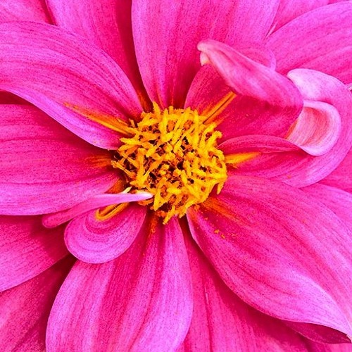 Sneak peak - dfractals mini mix Vol 1