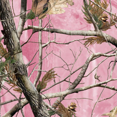 Camo - Ryan Beatty (slowed + reverb)