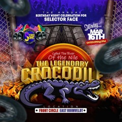 SELECTOR FACE FRM STEREO SONIC BIRTHDAY PROMO MARCH 16TH 2024