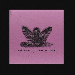 She Dove Into The Mellow