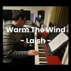 Warm The Wind - Laish (JacksorJacksor cover)
