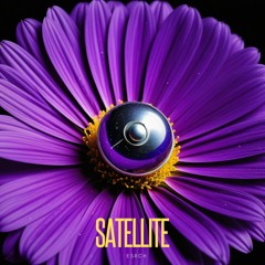 Satellite