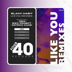 Blakk Habit - Like You (BWKProject Remix)