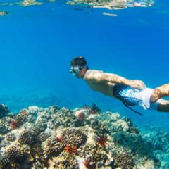 Best Places To Snorkel In Honolulu Prices Reviews