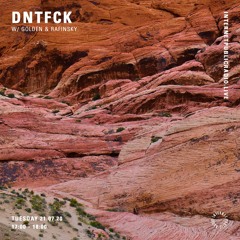 DNTFCK on Internet Public Radio - Golden & Rafinsky