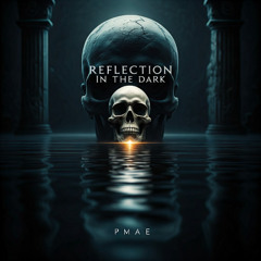 Reflection in the Dark