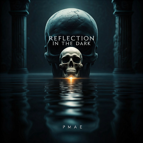 Reflection in the Dark