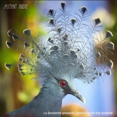 La Serpiente presents 'Searching for the Sublime' [15.10.25]