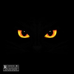 AULAS Suiciniv, Mac30, Vidalzeras