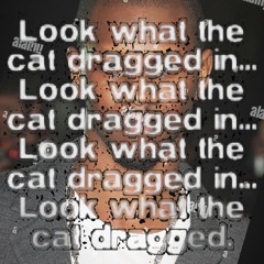 look what the cat dragged in..