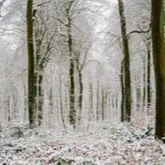 the first flurry