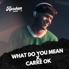 WHAT DO YOU MEAN x CARRÉ OK (Harshan Mashup)