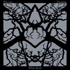 [WL-022]White Birch_Teaser