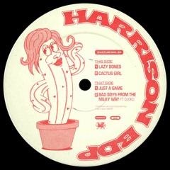Harrison BDP - Cactus Girl [Dansu Discs]