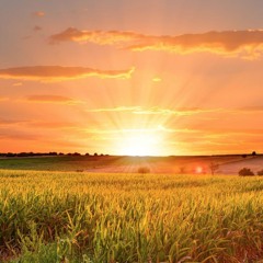 Summer Sunset 2015