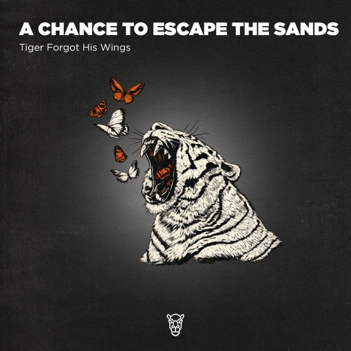 PREMIERE: Tiger Forgot His Wings - Dont Miss the Caravan [Camel VIP Records]