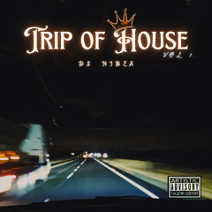 Trip of House (Dub Mix)