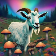 Weird Stuff I Can't Explain