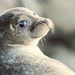 MAMBULICA-LIVEinKvaka22-15-april-22