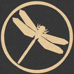 Mitoklin @ Beat Safari Radio Show