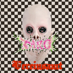 Vereinsamt [feat. Bidocea]