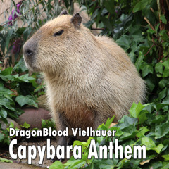 Capybara Anthem