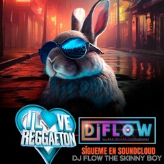 I LOVE REGGAETON ;;; DJ FLOW