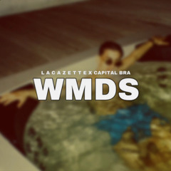 LACAZETTE X CAPITAL BRA - WMDS