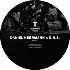 D.N.S & Daniel Herrmann - LSD Bitch (Orignal Mix) Preview