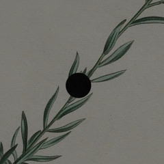 Harpyia (Short version Slowed)