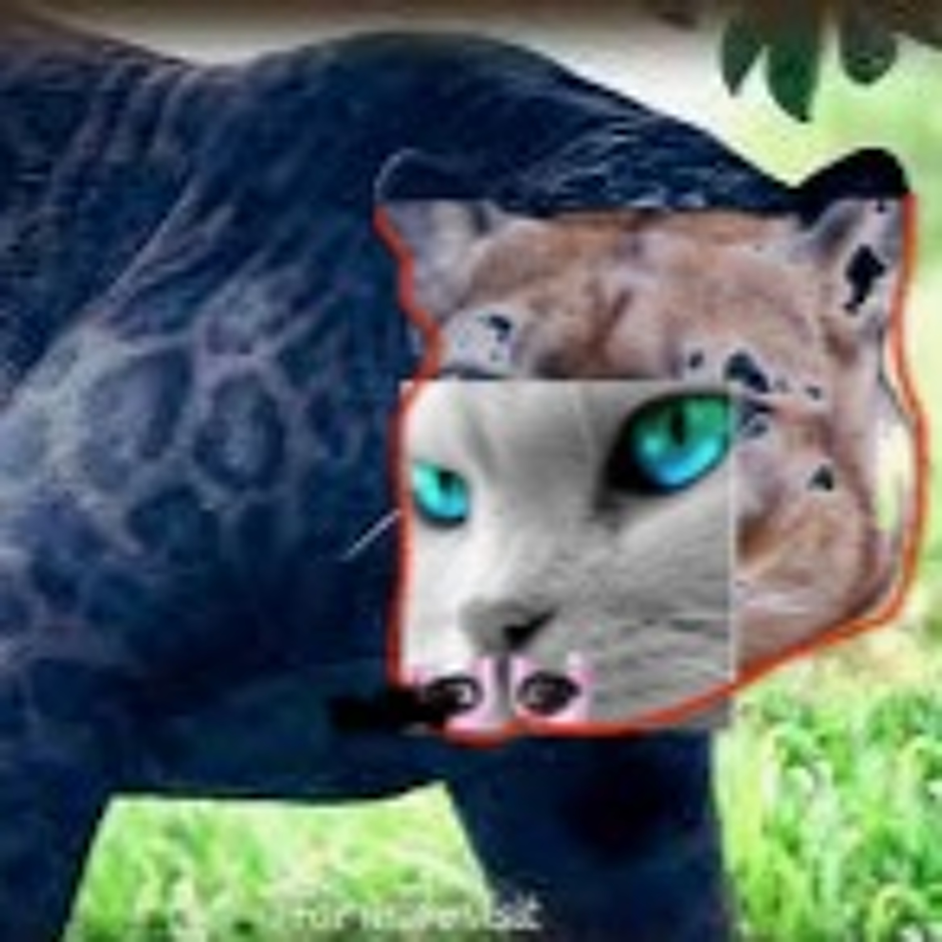 ii on To U episode artwork
