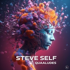 Steve Self - Quaaludes EP Live Mix 1 B L2 320