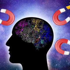 Law of Attraction Feat Nino Gramz