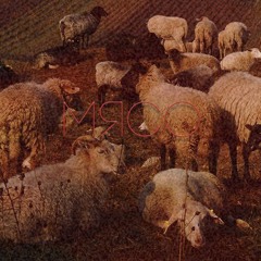 Slivko - Помойка