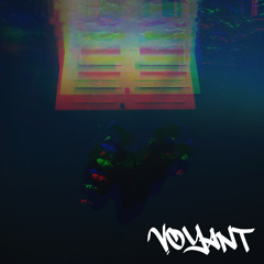 Billie Eilish - WILDFLOWER (Voyant Flip)